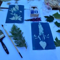 territoire_anim_rue_cyanotype_03