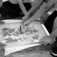 territoire_croisiere_art_04
